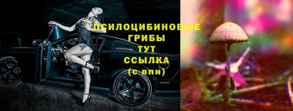 молекула духа Абинск