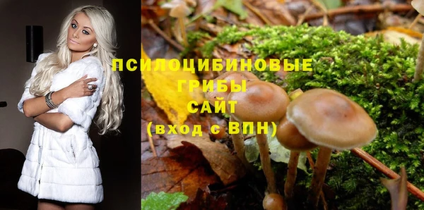 молекула духа Абинск