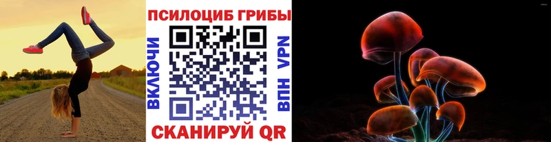 OMG рабочий сайт  Усинск  Псилоцибиновые грибы Psilocybine cubensis 